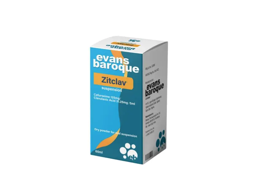 Zitclav Suspension 60mL