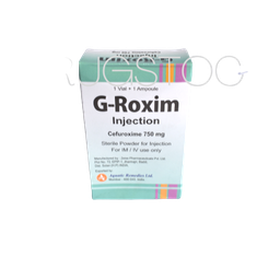 [DSN002938] G-Roxim Inj 750mg