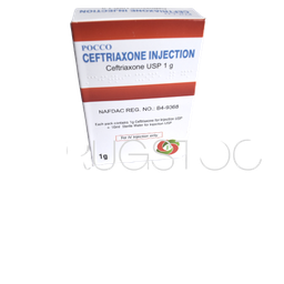 [DSN003141] Pocco Ceftriaxone 1g Injection (IV) x 1 Vial