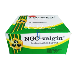 [DSN0031793] NGC-Valgin 500mg Tablet (10 x 100)